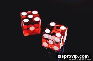 AG真人 zlsprovip